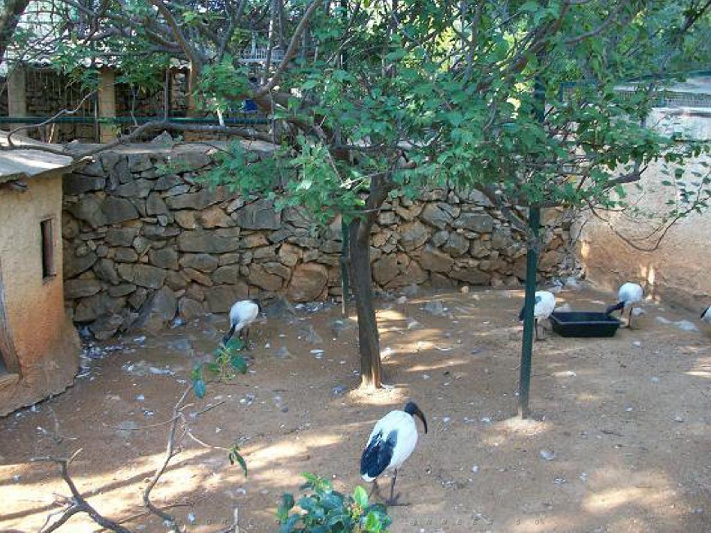 183 D21 SANARY SUR MER 1_000063.jpg